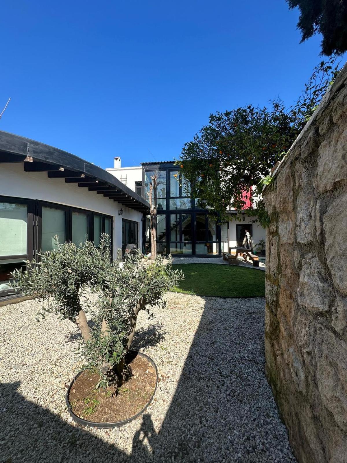 Willa Olive House Kirenia Zewnętrze zdjęcie